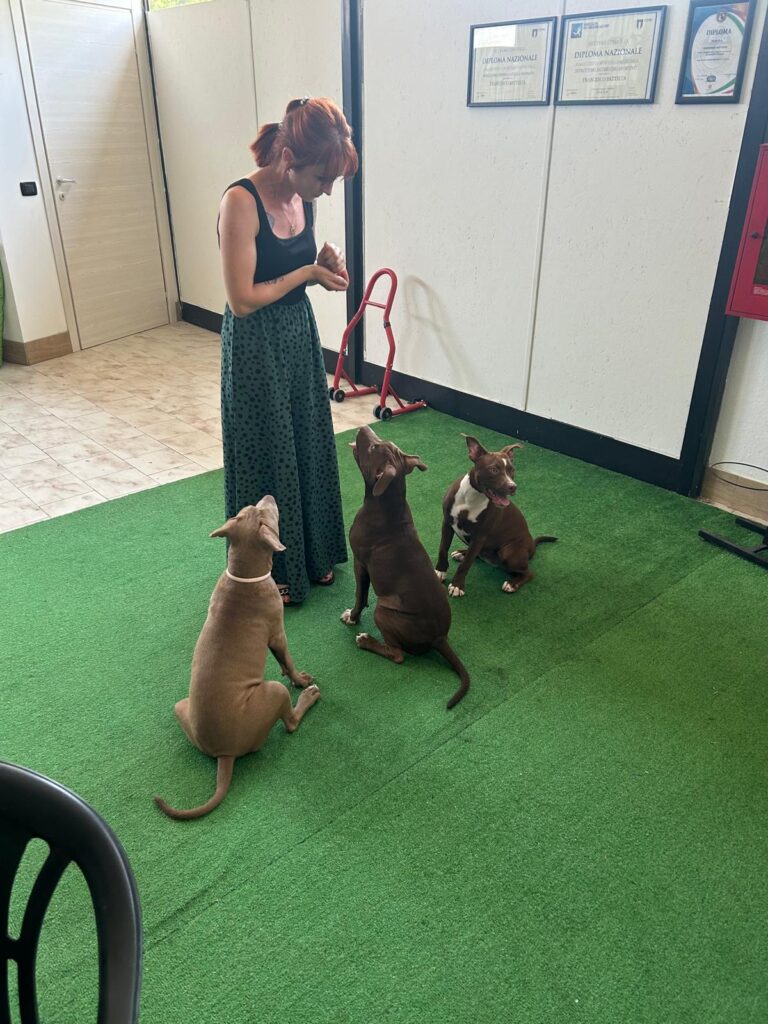 addestratore per cani con problemi comportamentali Monza e Brianza